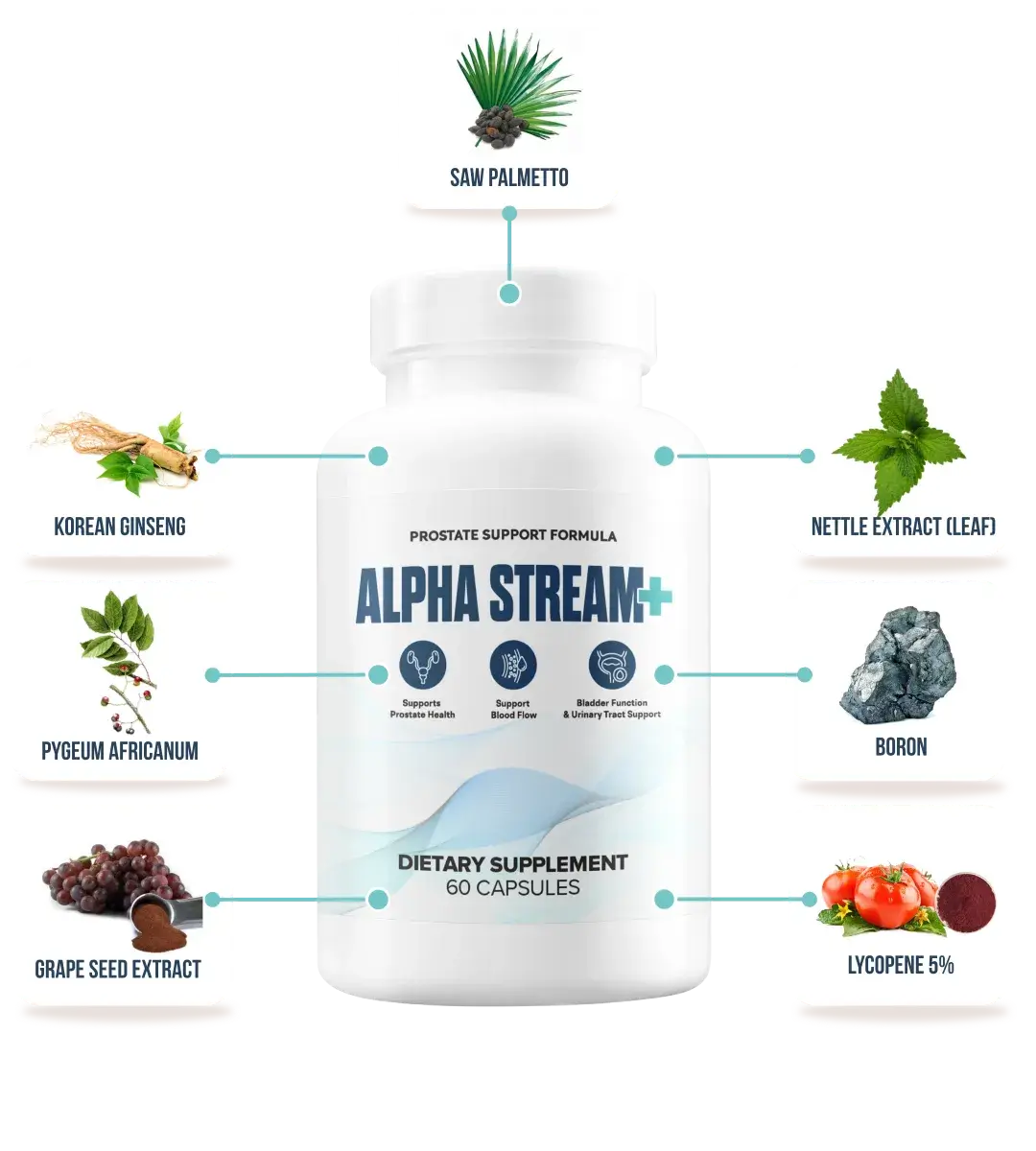 Alpha Stream Plus Discount